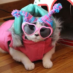 Meet your Posher, Pam